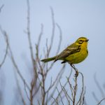 让男人爽女人叫的视频 xgxieod