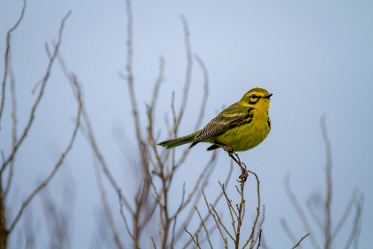 让男人爽女人叫的视频