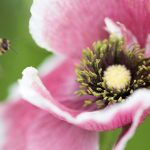 岳光滑的身体颤抖 zcytzy