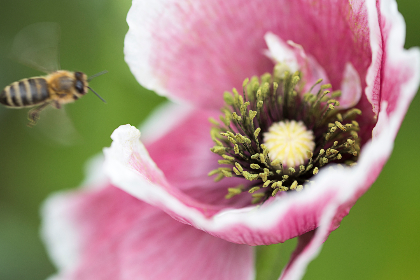 岳光滑的身体颤抖